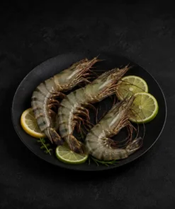 Shrimp HOSO