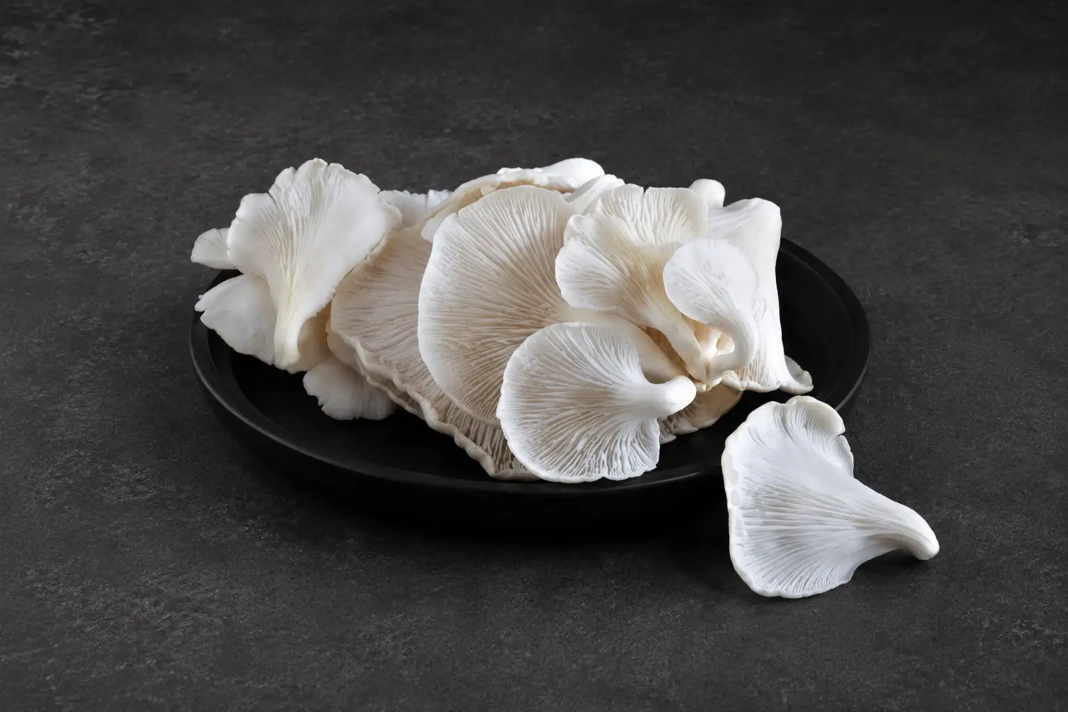 Oyster Mushroom