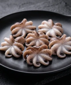 Mini Octopus