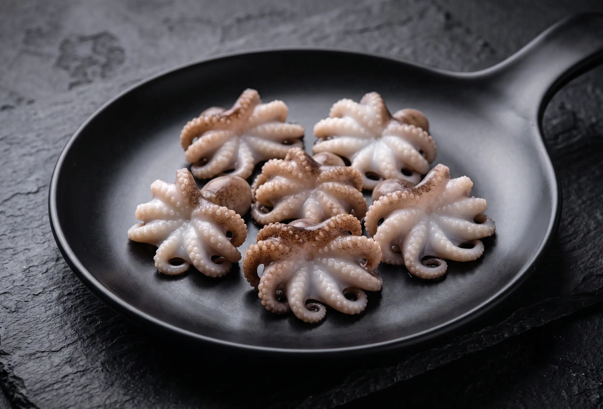 Mini Octopus