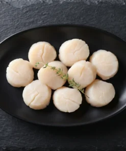 Scallops - 50g
