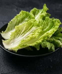 Napa Cabbage