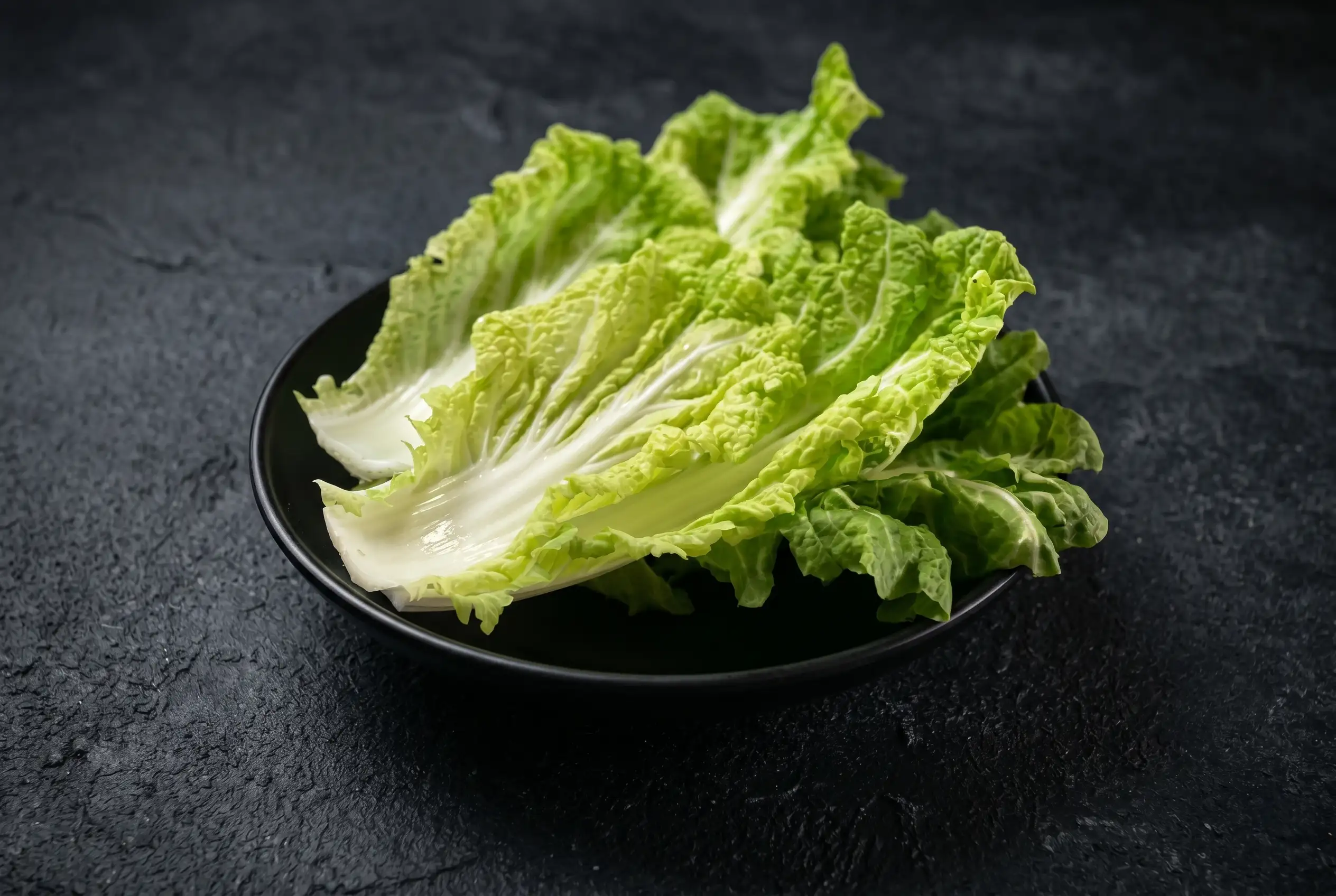 Napa Cabbage
