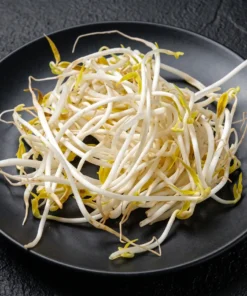 Bean Sprouts