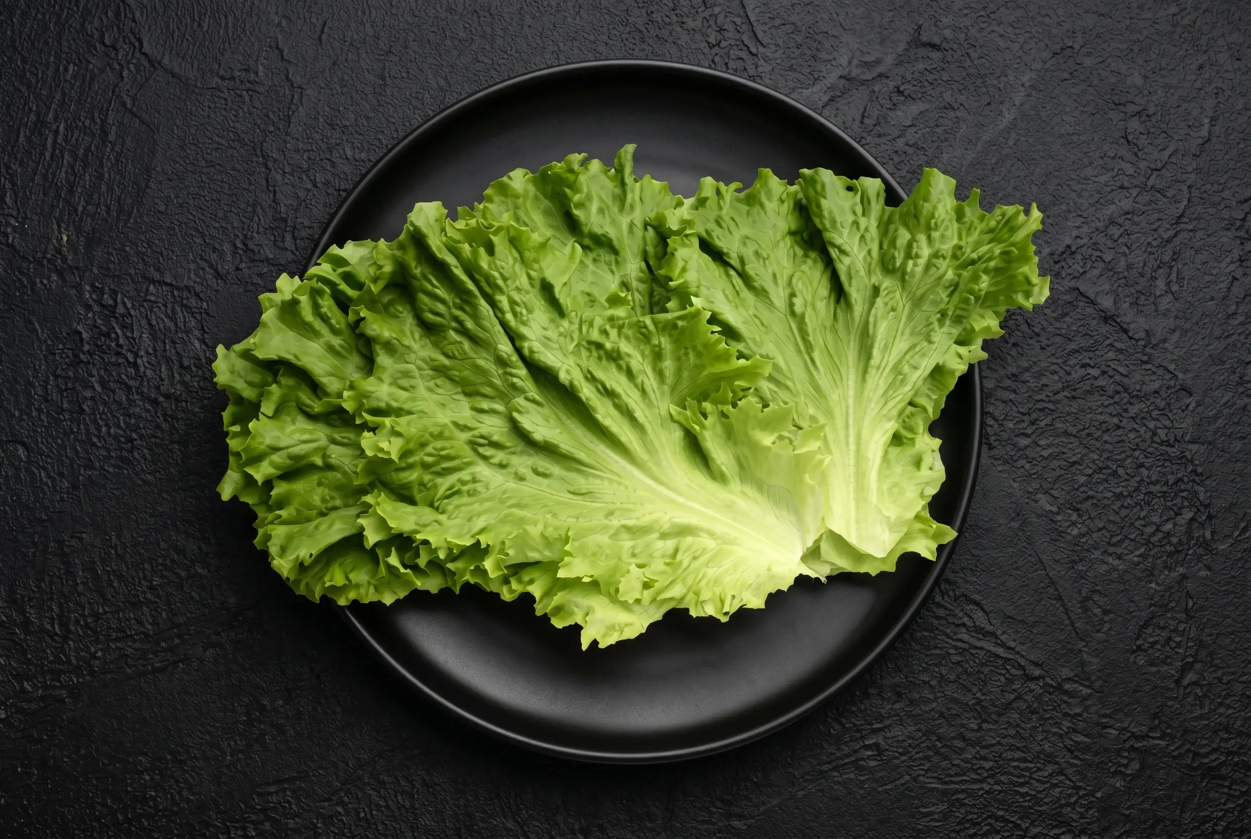 Lettuce