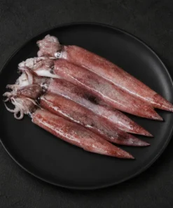 Squid