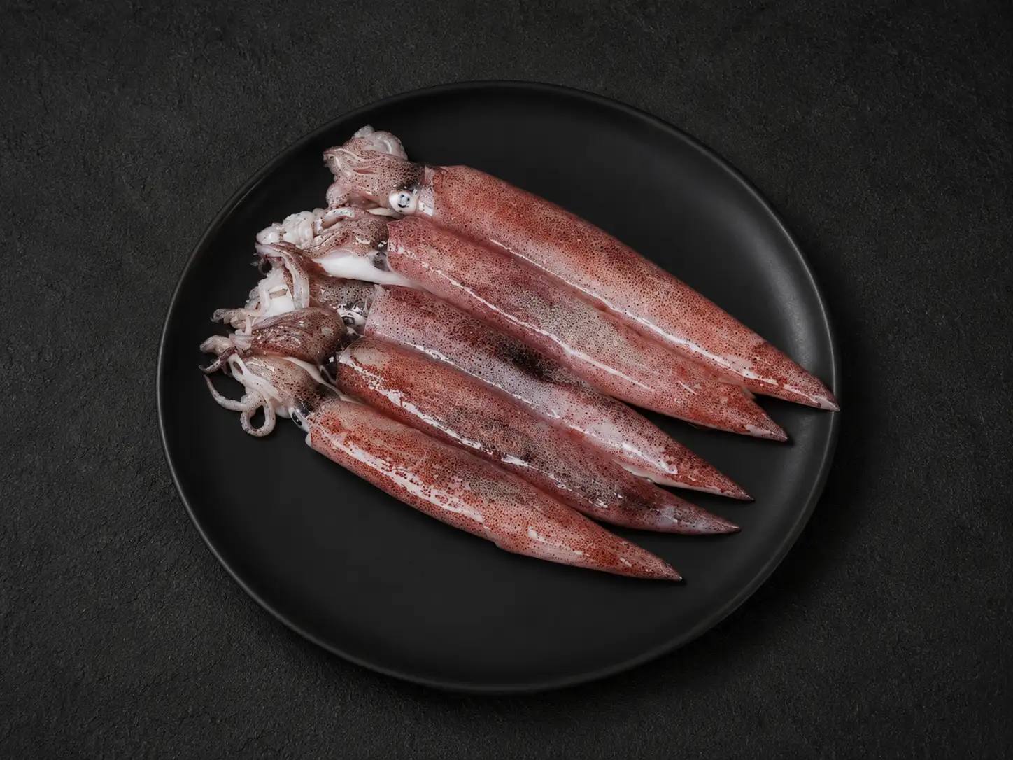 Squid