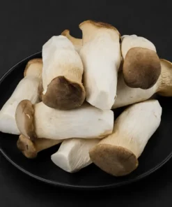 King Oyster Mushroom