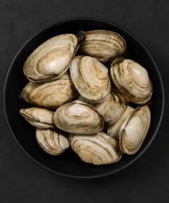 Clam