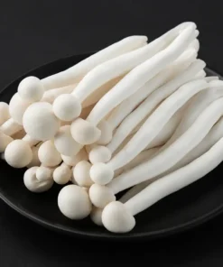 Seafood Mushroom